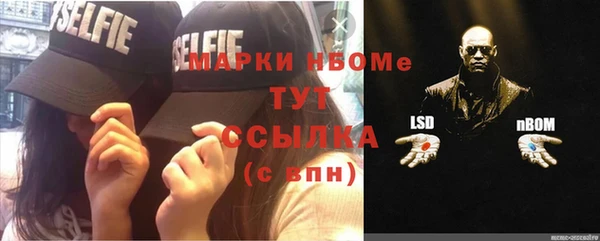 стафф Аркадак