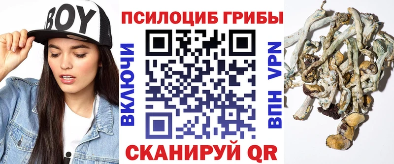 Галлюциногенные грибы GOLDEN TEACHER  Заречный 