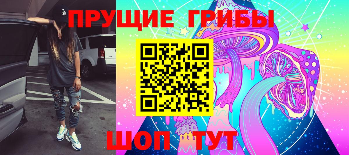 Заречный  где можно купить наркотик  Вход с VPN  Галлюциногенные грибы Psilocybine cubensis 