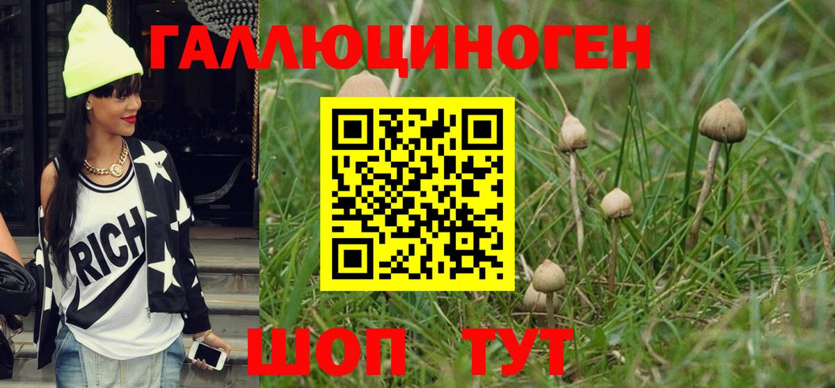 Псилоцибиновые грибы ЛСД Заречный